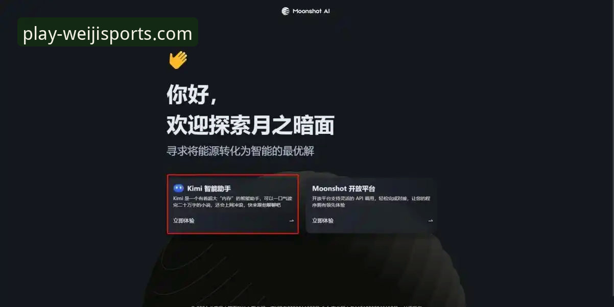 维基体育功能介绍 维基体育功能介绍详解:从注册到使用的完整指南